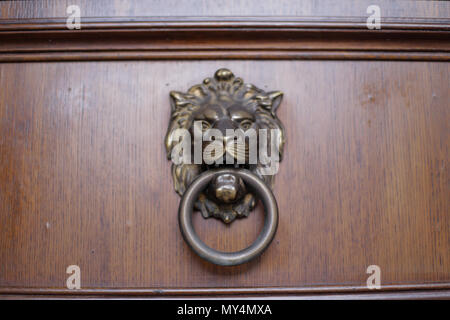 Metal lion door knocker Stock Photo