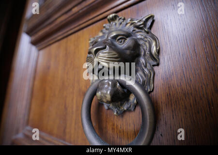 Metal lion door knocker Stock Photo