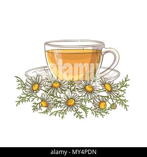 cup of chamomile tea illustration on white background Stock Vector