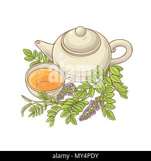 licorice tea in teapot illustration on white background Stock Vector