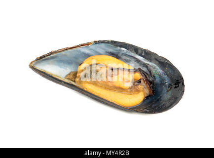 Preparation of delicious mussels in the shell isolated on white background Stock Photo