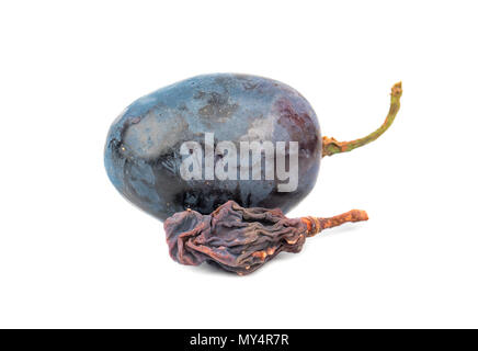 Fresh berry blue grapes and raisins on a white background Stock Photo