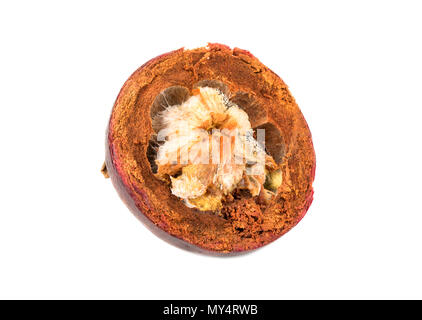 Spoiled and Rotten Mango Fruit with Skin - Stock Illustration [62288874]  - PIXTA