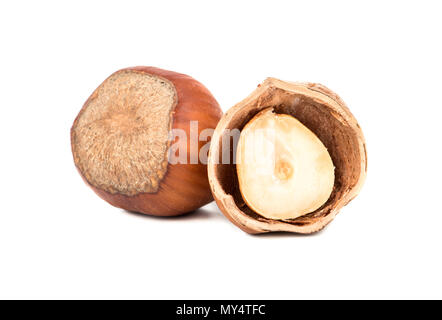 Half of hazelnut with walnuts in shell isolated on white background Stock Photo