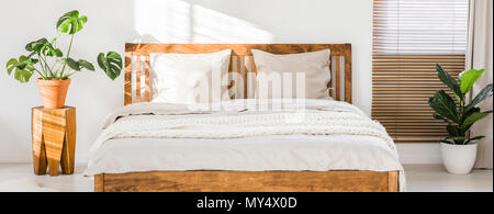 Close-up of double wooden bed with bedding, pillows and blanket against white wall in a bright sunny bedroom interior. Two green plants standing besid Stock Photo