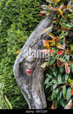 womans face carved on driftwood Stock Photo