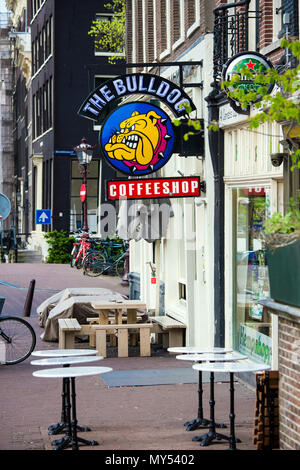 The famous coffeshop Bulldog in Amsterdam city, Netherlands Stock Photo