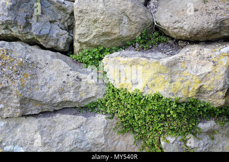 Dry Stone Wall Stock Photo
