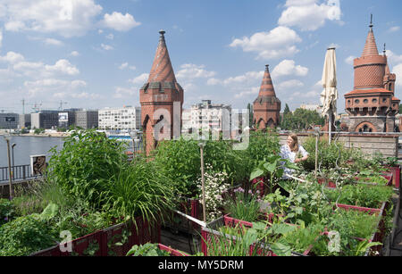 31 May 2018, Germany, Berlin: Employee Johanna Bruecker sits amid plants on the roof terrace of the strategy agency 'Diffferent', which is located at the beginning of the Oberbaumbruecke. Berlin becomes greener and so do many companies. Dull spaces turn into colourful company gardens. Employees are able to take a break in between feverfew and chives. Photo: Soeren Stache/dpa Stock Photo