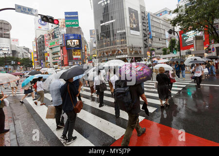 Weather Forecast Tokyo - Japan (Kanto) : free 15 day weather