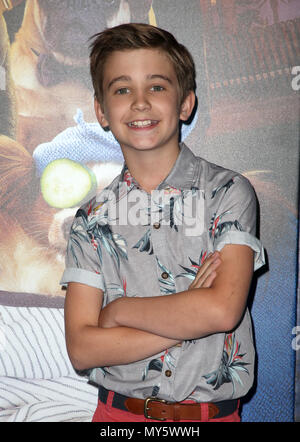 Premiere Of Global Road Entertainment's 'Show Dogs'  Featuring: Parker Bates Where: Hollywood, California, United States When: 05 May 2018 Credit: FayesVision/WENN.com Stock Photo