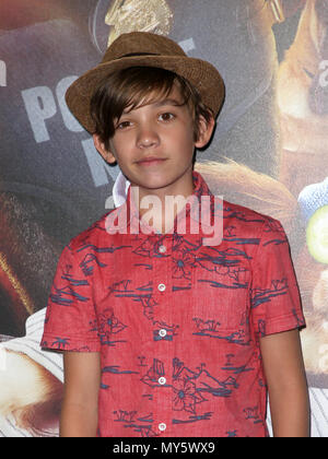 Premiere Of Global Road Entertainment's 'Show Dogs'  Featuring: Prestyn Bates Where: Hollywood, California, United States When: 05 May 2018 Credit: FayesVision/WENN.com Stock Photo