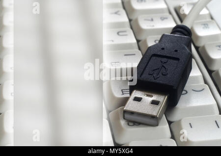 Black USB input on the white classic computer keyboard with english and russian layout with copy space field Stock Photo