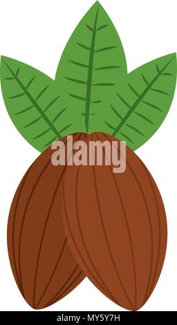 cocoa beans leaves fruit image vector illustration Stock Vector