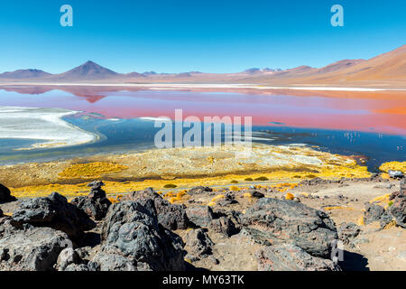 Landscape of the Laguna Colorada or Red Lagoon in the Uyuni Salt Flat region, Bolivia, South America. The red colors are due to algae and sediments. Stock Photo