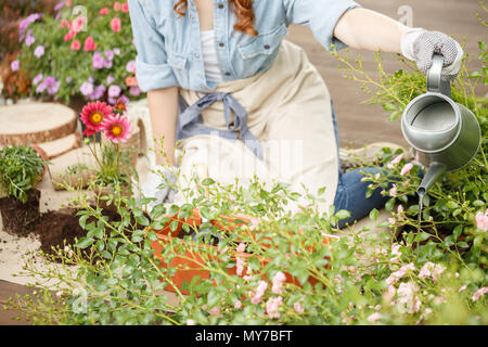 Woman kneeling on a wooden terrace, gardening and watering plants in her backyard Stock Photo