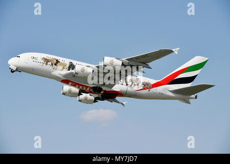 Emirates, Airbus, A380-800, special edition, United for Wildlife, taking off in the air, Munich Airport, Upper Bavaria, Bavaria Stock Photo