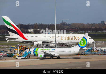Emirates Airbus A 380-800, Transavia.com, Boeing 737-800, aircraft, at Amsterdam Schiphol Airport, in North Holland, Netherlands, Stock Photo