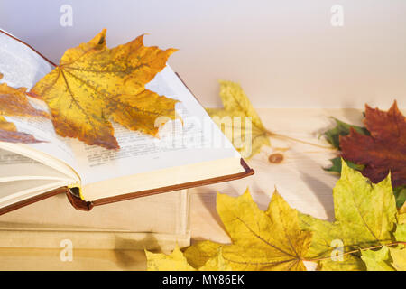 Open book with colored autumn leaves on wooden table.  Stock Photo