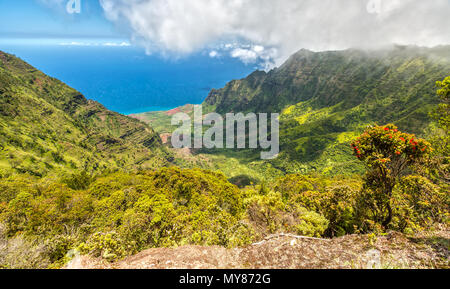 Panorama View over Kalalau Valley, Kauai, Hawaii Stock Photo