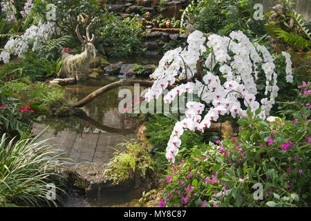 Orchids and tropical shrubbery Queen Sirikit Botanical Garden Mae Rim District Northern Thailand Stock Photo