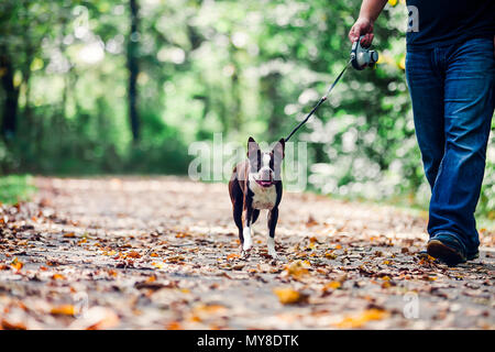Man walking dog in rural setting, low section