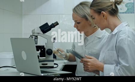 Researchers in labcoats are checking the samples on microscope in bright lab, using digital tablet and making notes on laptop Stock Photo