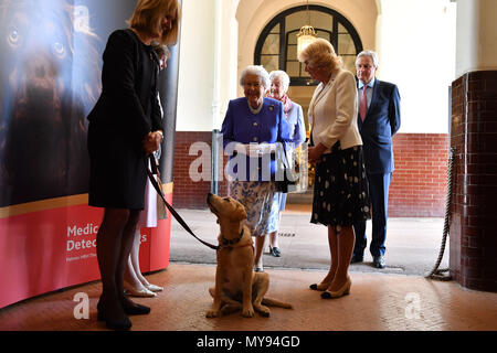 Queen Elizabeth II and the Duchess of Cornwall arrive for the 10th anniversary celebration of the Medical Detection Dogs charity at the Royal Mews, in London. Stock Photo