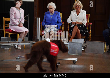 Queen Elizabeth II and the Duchess of Cornwall watch a demonstration of a dog from the charity Medical Detection Dogs sniffing out bladder cancer during the 10th anniversary celebration of the charity at the Royal Mews, in London. Stock Photo