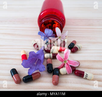 Homeopathy concept image:  Amoxicillin and Flucloxacillin antibiotic capsules and flowers on pine background. Stock Photo