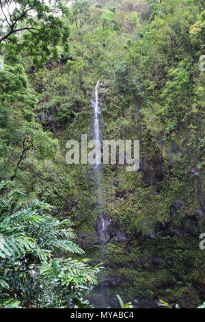 A small waterfall streaming down the side of a cliff in a rainforest on the Road to Hana, Maui, USA Stock Photo