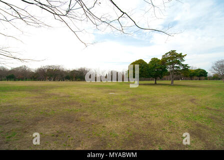 large lawn and blue sky in natural park in Japan Stock Photo