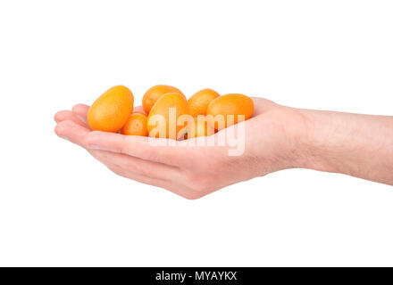 Man holds in his hand a lot of ripe fruit kumquat on white background Stock Photo