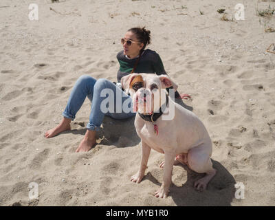 Portrait of a beautiful white boxer dog and its owner at the beach. Young woman sitting on the sand at the background