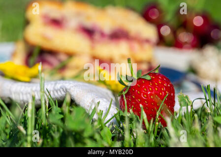 Horizontal photo with detail of ripe red strawberry. Fruit is placed on white towel in a garden with two portions of cherry cake. Next cherries are pl Stock Photo