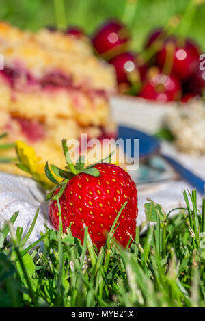 Vertical photo with detail of ripe red strawberry. Fruit is placed on white towel in a garden with two portions of cherry cake. Next cherries are plac Stock Photo