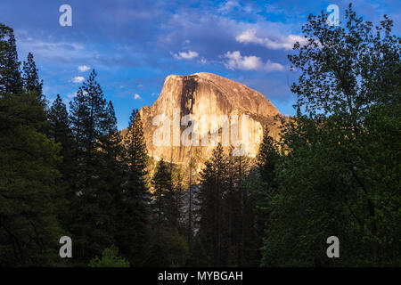 Evening light on Half Dome, Yosemite National Park, California USA Stock Photo