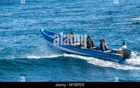 Small boat taking group of people in wetsuits to diving location, Hanga Roa, Easter Island, Pacific Ocean, Chile Stock Photo