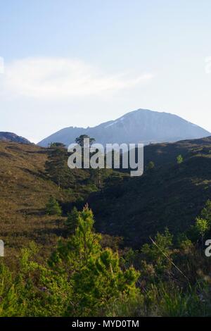 Mountain Massif with Last Snow Patches, Beyond Scots Pine Forest. Beinn Eighe NNR, Kinlochewe, Scotland, UK. Stock Photo
