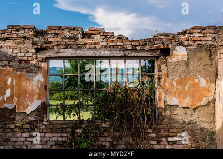 View from a window with bars of an old ruin house near the forest and meadow in nature without roof. Old wall with red brick and cracks Stock Photo