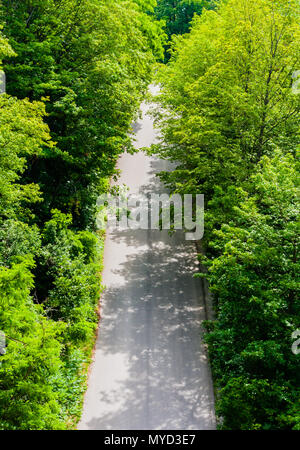 Empty unmarked asphalt road in dense forest and bushes viewed from above. Stock Photo