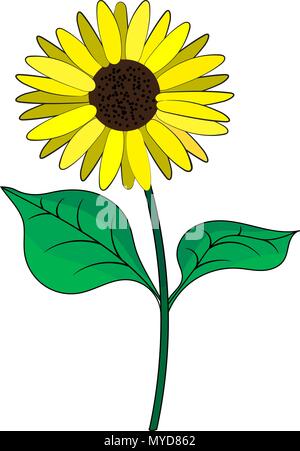 Sunflower with green leaves in flat style Stock Vector