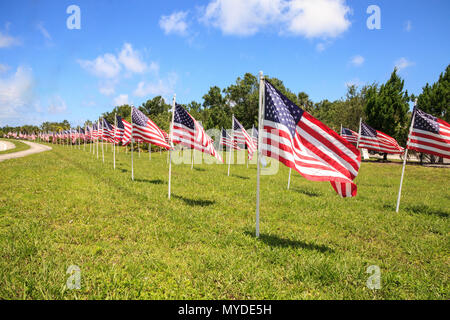 Patriotic display of multiple large American flags wave in the wind during the holiday. Stock Photo