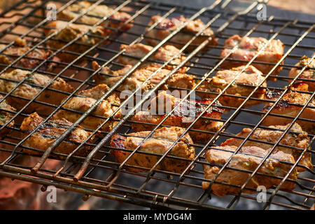 Delicious meat, grilled on charcoal in steel grating Stock Photo