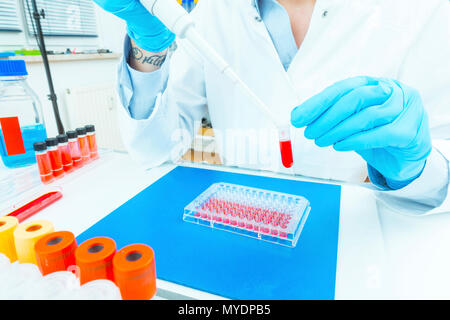 Biological research. Technician pipetting solution. Stock Photo
