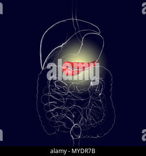 Human digestive system with highlighted pancreas, computer illustration. Stock Photo