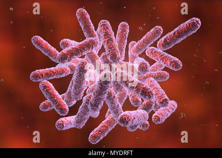 Enterobacteriaceae bacteria, computer illustration. These are Gram-negative rod-shaped bacteria. The family Enterobacteriaceae includes the genera Escherichia, Shigella, Salmonella, Klebsiella, Yersinia, Citrobacter, and Enterobacter. Some of these bacteria cause diarrheal infections (Salmonella, Shigella). Others are representatives of the normal microbiome of the intestines and other organs (Escherichia coli, Klebsiella spp.), but can also cause disease in certain locations (surgical wound infection, urinary tract infection) or in case of decreased immunity (pneumonia in postoperative Stock Photo