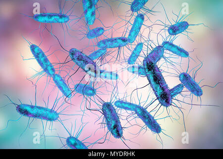 Salmonella bacteria, computer illustration. Salmonella sp. bacteria are Gram-negative rod-shaped bacteria that have flagella (hair-like structures) that they use for locomotion. They can cause food poisoning when ingested with contaminated food. Symptoms may include abdominal pain, nausea, diarrhoea and vomiting. Stock Photo