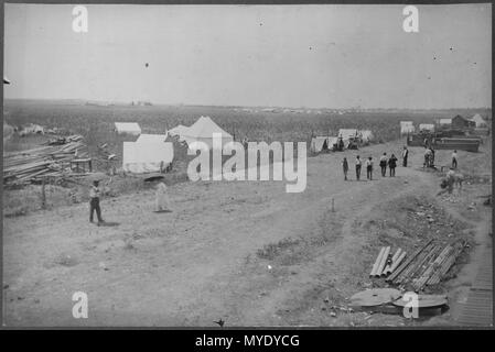 Anadarko Townsite (OkIa. Terr.) Aug. 6, (1901)-a cornfield. - Stock Photo