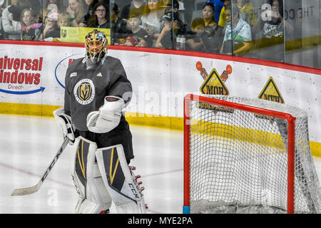 Las Vegas, NV, USA. 06th June, 2018. Las Vegas Golden Knights Stanley Cup Practice at City National Arena in Summerlin, Nevada on June 06, 2018. Credit: Damairs Carter/Media Punch/Alamy Live News Stock Photo